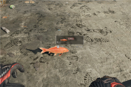 三角洲行动,零号大坝和长弓溪谷锦鲤水域点位位置在哪里?配图 三角洲行动,零号大坝和长弓溪谷锦鲤水域点位位置在哪里?配图