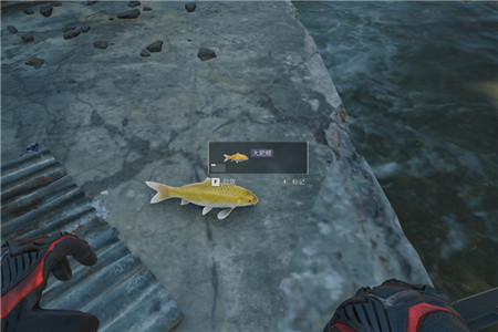 三角洲行动,零号大坝和长弓溪谷锦鲤水域点位位置在哪里?配图 三角洲行动,零号大坝和长弓溪谷锦鲤水域点位位置在哪里?配图