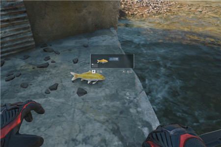 三角洲行动,零号大坝和长弓溪谷锦鲤水域点位位置在哪里?配图 三角洲行动,零号大坝和长弓溪谷锦鲤水域点位位置在哪里?配图